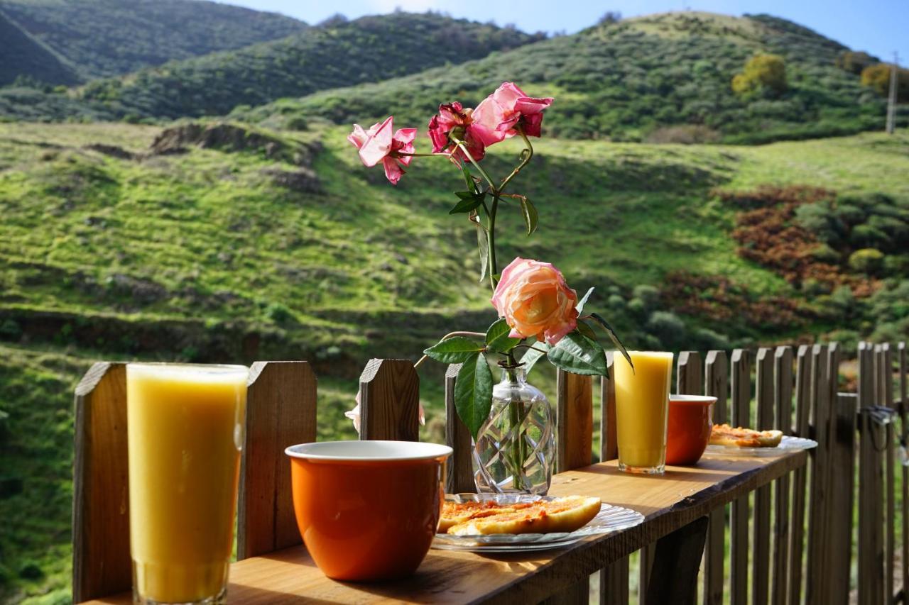 La Casita Hostel เบกา เด ซานมาเตโอ ภายนอก รูปภาพ